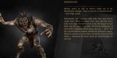 witcher 3 werewolf|witcher 3 werewolf weakness.